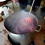 DSCN5986
