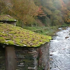 DSCN6163