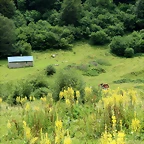 IMG_7658
