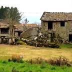 49-IMG_4561 - copia