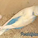 FB_IMG_1545469708876