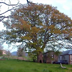DSCN9191