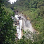 DSCN5855