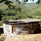 DSCN7017