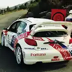 Peugeot 206 WRC 200- Mediterraneo Monzon