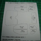 DSCN3520