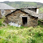 DSCN4254