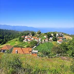 46-IMG_2229