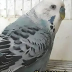 FB_IMG_1501572580165