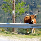 50-IMG_5745