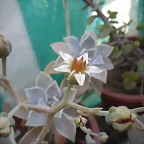 SAM_0866