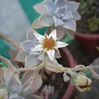 SAM_0865