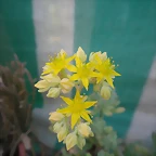 SAM_0869