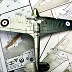 hh29