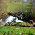 DSCN4767