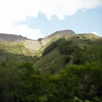 DSCN3593
