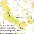 formaciones-forestales