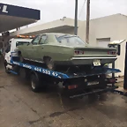 Coronet M-677546 (2)
