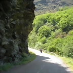 DSCN5849