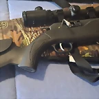 walther3