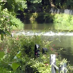 DSCN4186