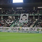 luzverde