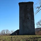 IMG_2484