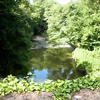 DSCN8420