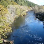 DSCN6386