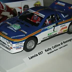 DSCN9562