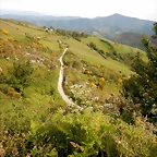 DSCN8976