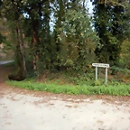DSCN0549