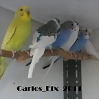 1 foto  21-5-2011