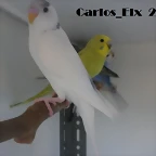 5 foto  21-5-2011