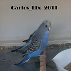 13 foto 21-5-2011