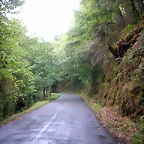 DSCN3165