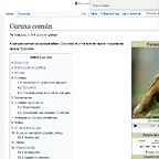 curuxa
