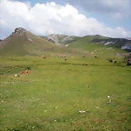 DSCN3646