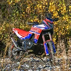 401614671_1096433545096567_3405918779607716650_n