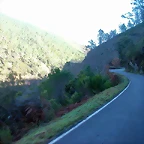 DSCN5523