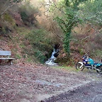 DSCN5503