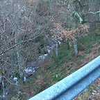 DSCN5530