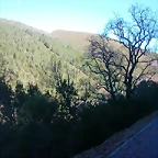 DSCN5525
