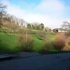 DSCN5510