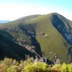 DSCN5545