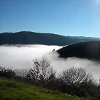 DSCN5489