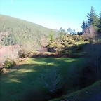 DSCN5522