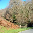 DSCN5488
