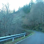 DSCN5515
