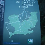 DSCN5551